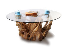 Teak Root