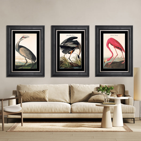 Great Blue Heron Framed Print - last one remaining