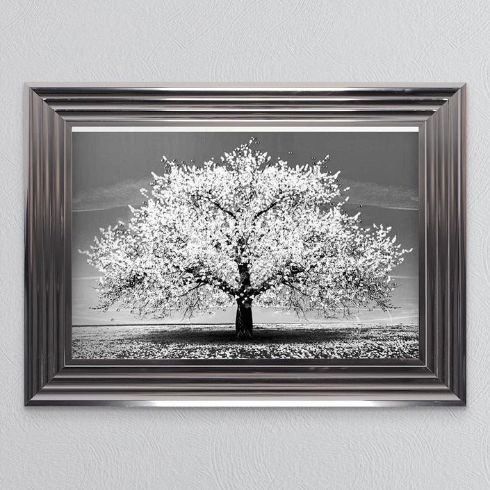 White Cherry Tree Framed Print - In Stock