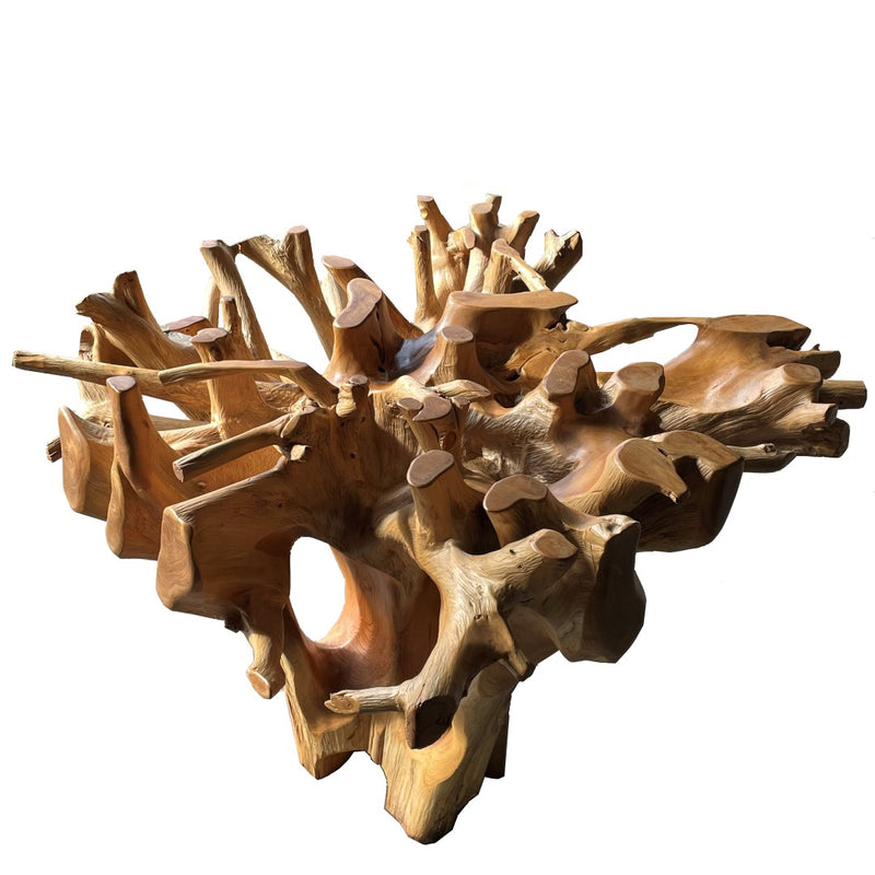 Teak Root Table